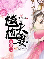 《紅樓之尷尬夫妻》