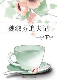 魏淑芬追夫記