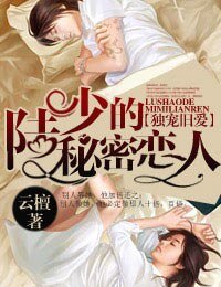 《獨寵舊愛·陸少的秘密戀人》