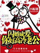《閃婚成愛:你好,高冷老公》