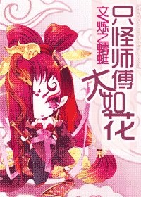 《只怪師傅太如花(網絡版)》