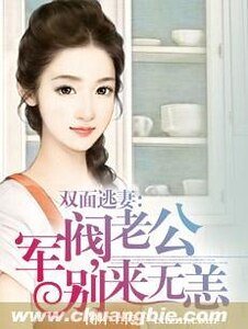 雙面逃妻：軍閥老公，別來無恙