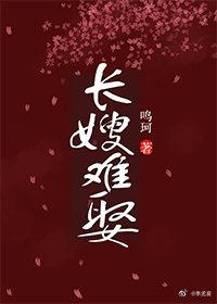 長嫂難娶