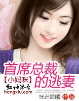 《四神集團①:首席總裁的逃妻》