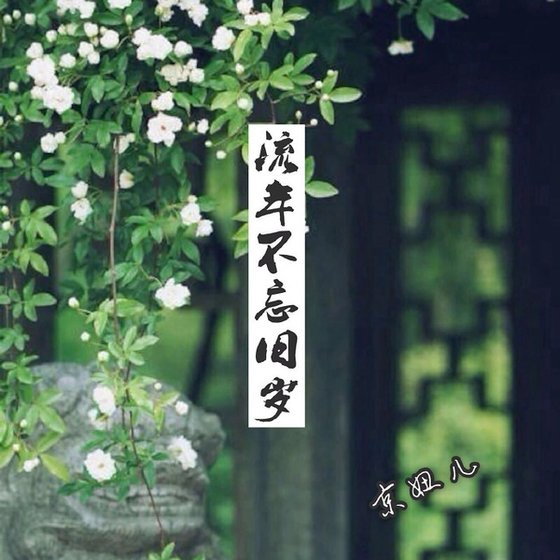 流年不忘舊歲