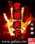 《掌控天下》