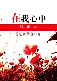 《韓娛之在我心中》