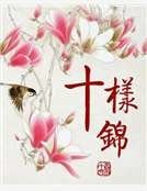 十樣錦