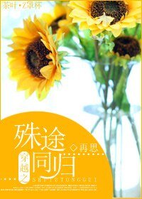 《穿越之殊途同歸》