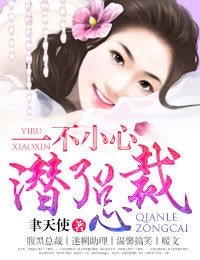 《一不小心潛了總裁/一不小心愛上總裁》