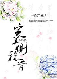 《完美側福晉》