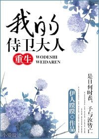 我的侍衞大人（重生）