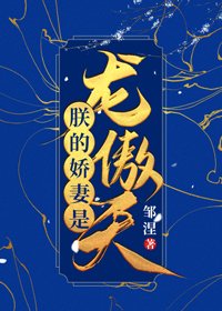 《朕的嬌妻是龍傲天(女穿男)》