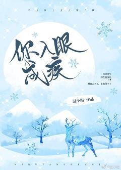 《你入眼成疾》