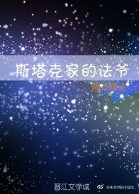 《斯塔克家的法爺》