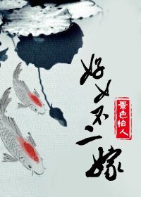 好女不二嫁
