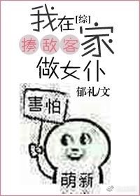 （綜動漫同人）我在揍敵客家做女僕[綜]