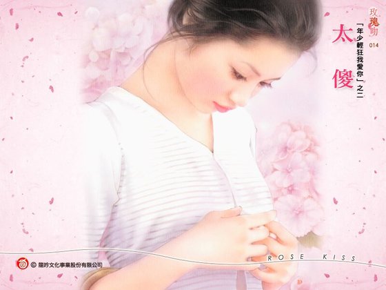 《太傻(年少輕狂我愛你係列之二)》