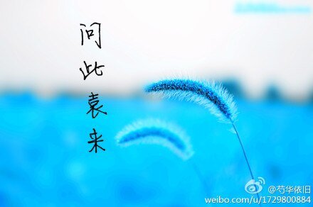 （士兵突擊同人）問此袁來