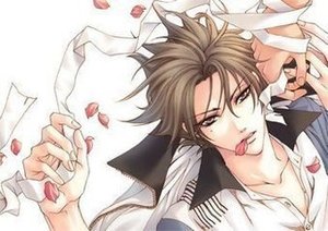 《(綜漫同人)跡部的玫瑰香》