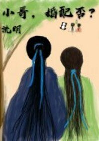 《小哥,婚配否?》