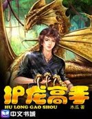 《護龍高手》