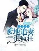 《天才寶寶:爹地追妻很瘋狂》