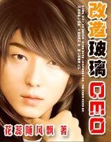 《改造玻璃CEO 》