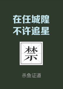 《在城隍廟不許追星》