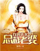 我的美女總裁老婆
