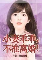 《老婆乖乖,不準離婚!》