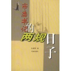 《市委書記的兩規日子》