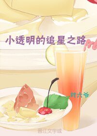 《小透明的追星之路》
