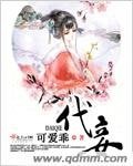 《代妾》