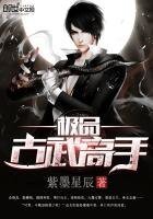 《極品古武高手》