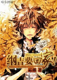 《(fate/zero同人)綱吉要回家》