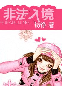 《非法入境》