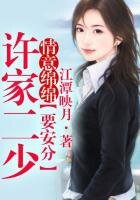 《許家二少》