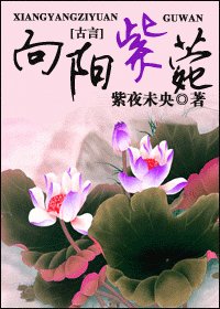 《向陽紫菀》