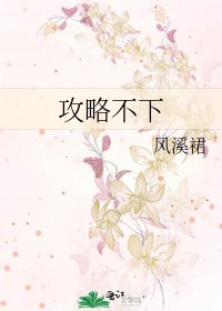 《攻略不下》
