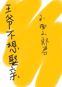 《王爺不想娶親》