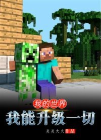 《我的世界:我能升級一切》