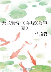 《(BL/天龍八部同人)天龍轉輪(喬峯X慕容復)》