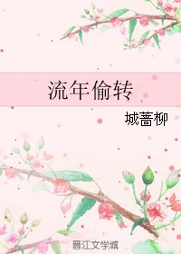 《(BL/銀魂同人)流年偷轉》