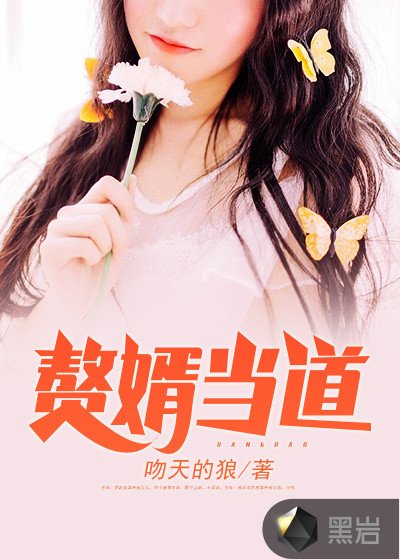《贅婿當道》