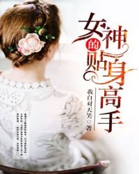 《女神的貼身高手》