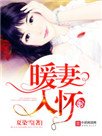 《暖妻入懷(重生)》