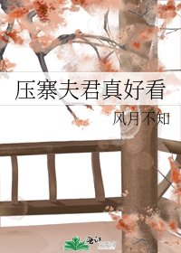 《壓寨夫君真好看》