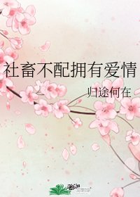（綜漫同人）社畜不配擁有愛情