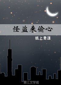 《怪盜來偷心》